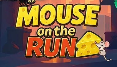 Mouse on the Run